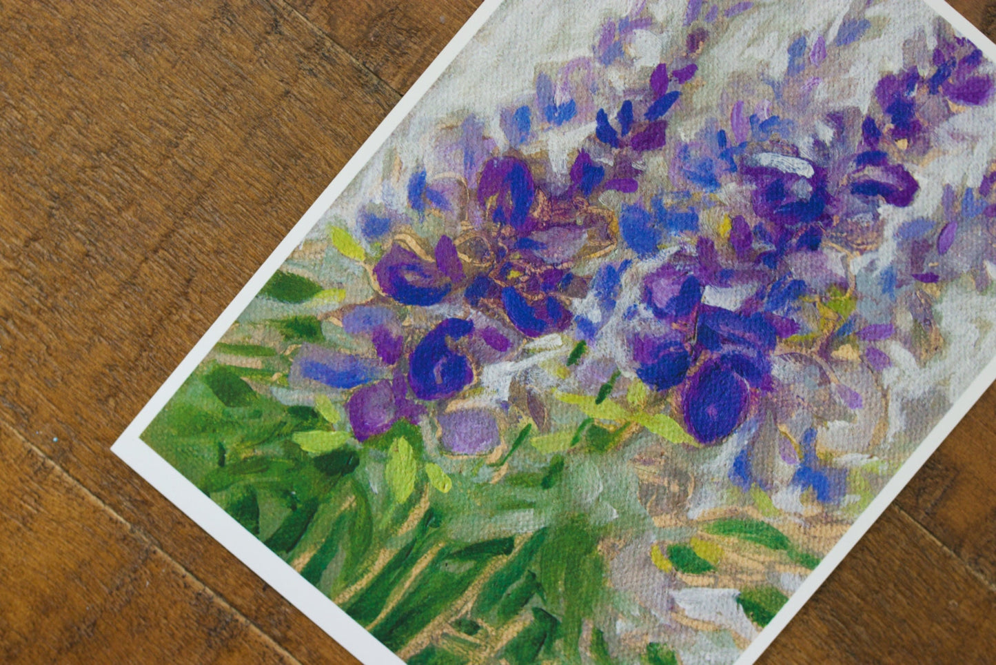 Salvia