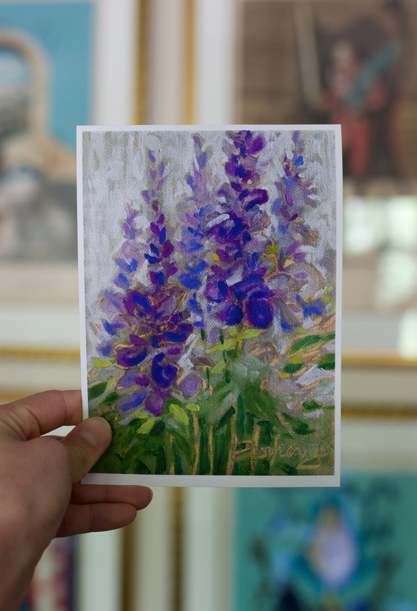 Salvia