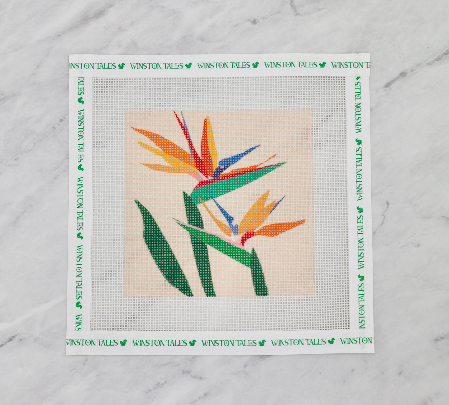 Bird of Paradise