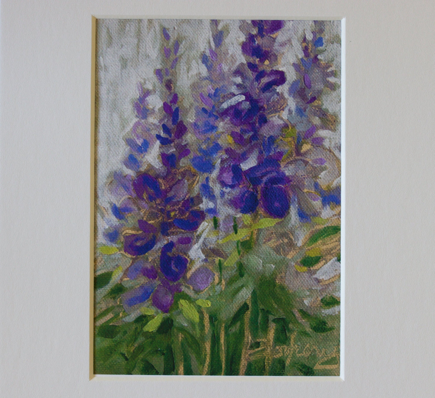 Salvia
