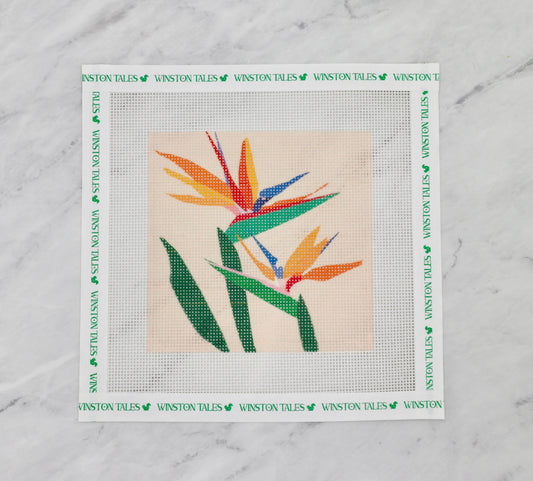 Bird of Paradise