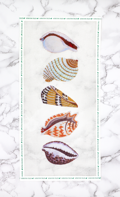 Seashells By The Seashore