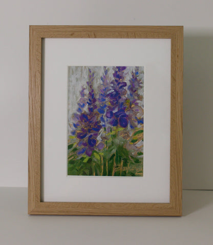 Salvia