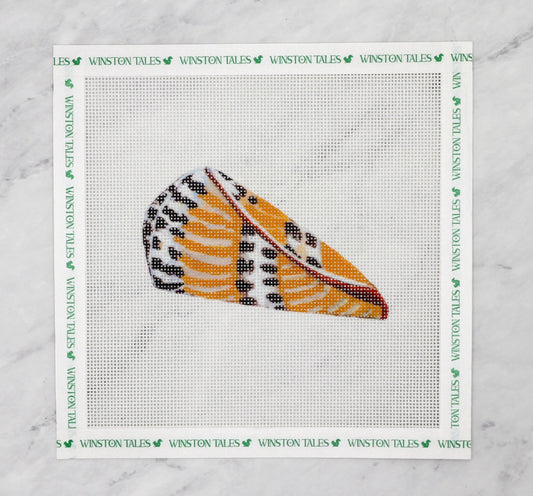 Sandy Shell